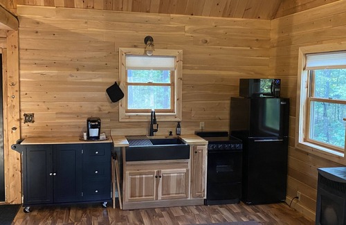 Reed City Cabin | Little Log Cabin in the Big Woods