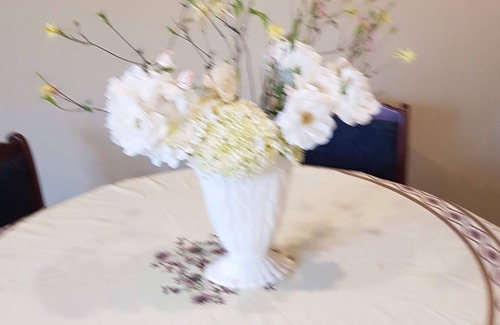 Hastings Bed & Breakfast | Liz on Lowry In Frimley Hastings