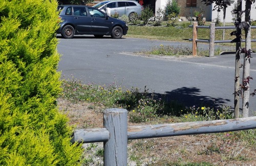 Le Vivier-sur-Mer Apartment | Location La Palourdine sur mer