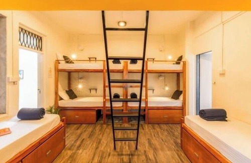 Park Road Hostel | Locomo Hostel OG - Stay Work Eat
