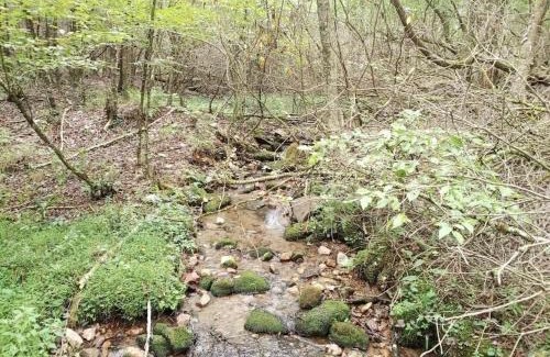 Burks Fork House | Lodges at Buffalo Mountain- 168 private acres
