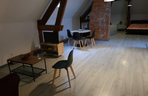 Beaugency Apartment | Loft'4 on the route des châteaux - Bgcy-2 [1]