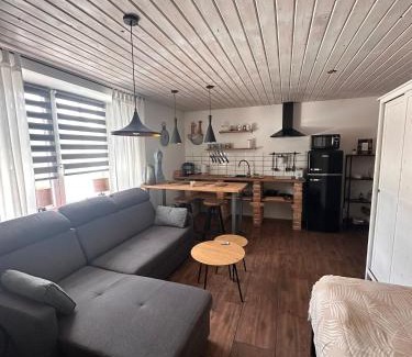 Sluknov Apartment | Loft Apartments