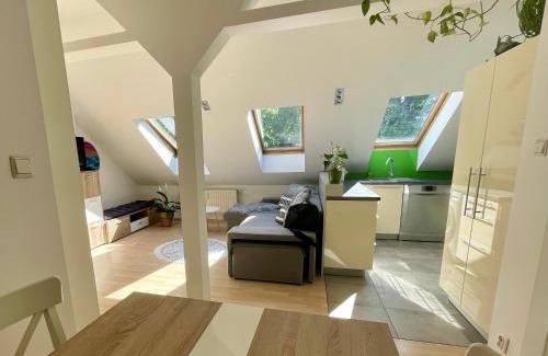Wzgorze Swietego Maksymiliana Apartment | Loft Art Apartment