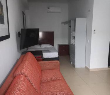 Guadalupe Apartment | Loft hermoso con estacionamiento gratuito