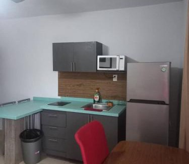 Guadalupe Apartment | Loft hermoso con estacionamiento gratuito