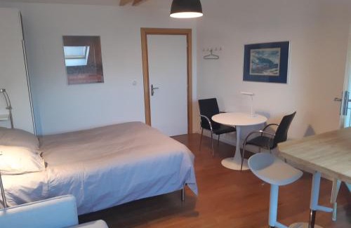 Altkirch House | loft studio avec charme et authenticité