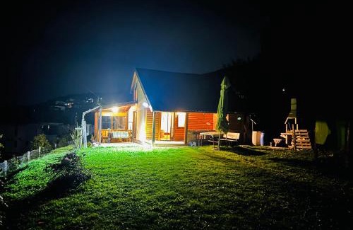 Resnik House | Log cabin