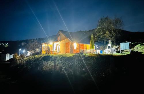 Resnik House | Log cabin