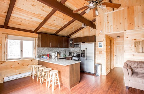Hunter House | Log Home with outdoor hotube Walking distance to Hunter MT