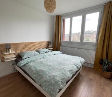 La Mulatiere Apartment | Logement spacieux et lumineux