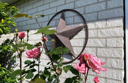Nieuw-Haamstede Apartment | Lonestar Appartement