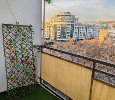 Podgorica Apartment | Lord Apartment