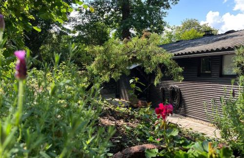 Bogel House | Loreley Hideaway