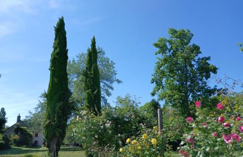 Le Veurdre Bed & Breakfast | Lorette