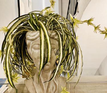 Piazza House | Lori's Inn 2 Appartamenti Mondovì