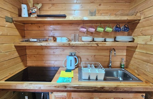 Lican Ray Cabin | Los Alerces Cabin