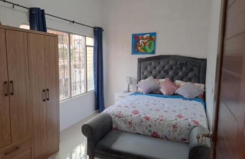 Ciudad Vieja Apartment | Los volcanes