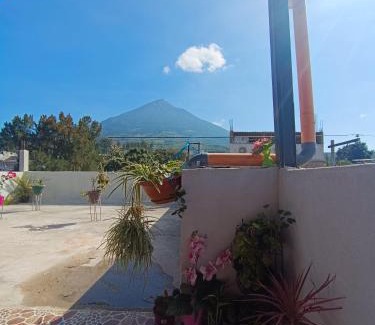 Ciudad Vieja Apartment | Los volcanes