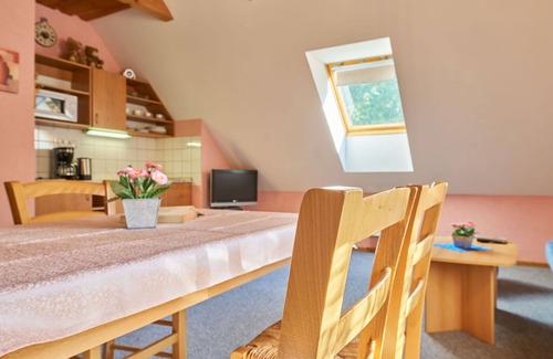 Starkov Villa | Lovely apartment in villa for 4 people with pool, WIFI, TV, patio, pets allowed and parking