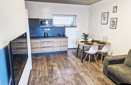 Cerna V Posumavi Apartment | Lovely apartment for 4 people with WIFI, terrace and parking