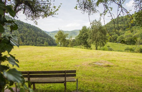 Montmelon Apartment | Lovely apartment for 5 guests with WIFI, TV, balcony and parking