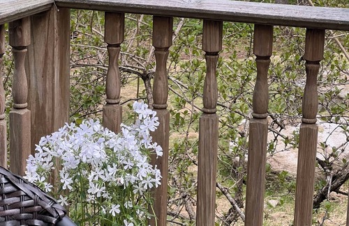 Oxford Cabin | Lovely, Lake Front 2-Bedroom Cabin with Porch and Dock on Saturday Pond