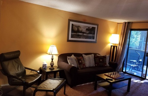 Federal Way Condo | Lovely One Bedroom Condo with Indoor Fireplace