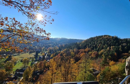 Leutersdorf Apartment | Lovingly furnished, quiet vacation apartment "LANDLUST" pet-friendly!