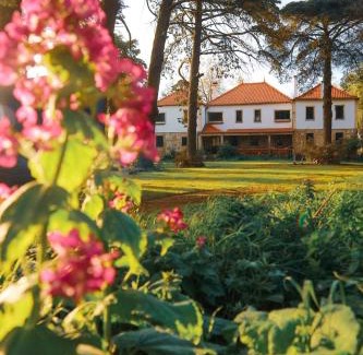 Melo Bed & Breakfast | Lugar da Pedra Alta - B&B - Private Historical Villa