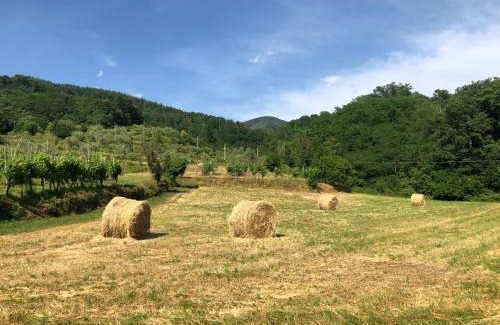 Pontremoli Apartment | Lunigiana Experience