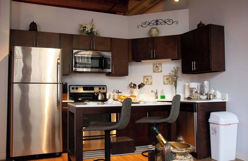 Near South Side Apartment | Luxéry Stay "Paris Themed" Downtown/McCormick/Wintrust Area