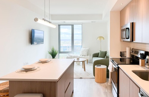 McLean Apartment | Luxi White Oak + Sage 2BR In Tysons BORO Area with Amenities + Mall/Gym/Pool