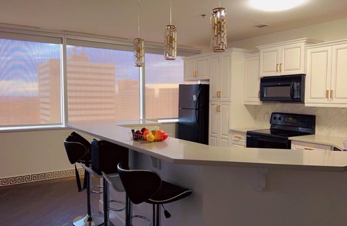 Regina Condo | "Luxurious Downtown Condo with Jetted Jacuzzi & Workspace - Business District"