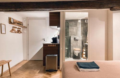 Statenkwartier Apartment | Luxurious Loft in Maastricht City Center