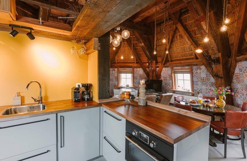Egmond aan Zee House | Luxurious holiday mill in a dune park, located in close vicinity of the beach