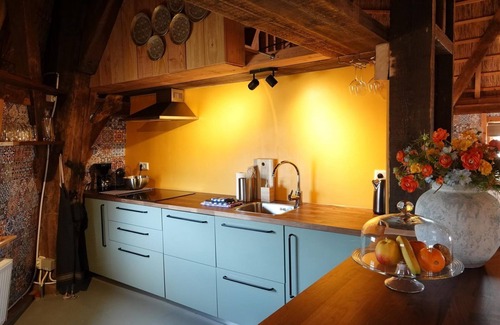 Egmond aan Zee House | Luxurious holiday mill in a dune park, located in close vicinity of the beach
