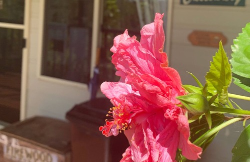 North Tamborine Cottage | Luxury Cassowary Cottage - Mount Tamborine