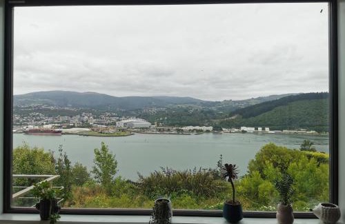 Dunedin Villa | Luxury Harbour view