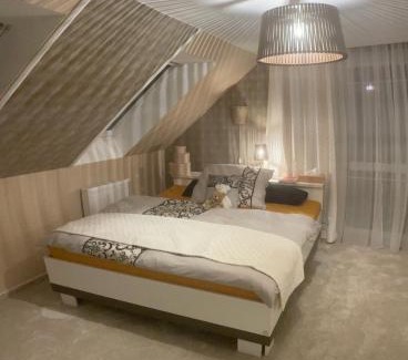 Drahelcice Villa | Luxury Private holiday in Prague - all house