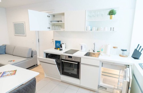Alsergrund Apartment | Luxury Suite Liechtenstein top 6