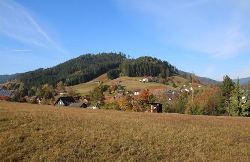 Mitteltal House | Luxus-Landhaus im Schwarzwald/Baiersbronn mit Pool