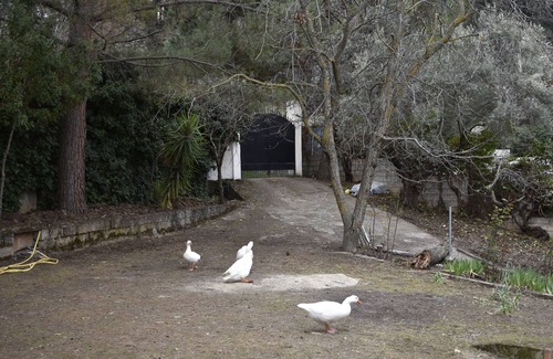Cenes de la Vega House | Lya's house, A perfect place for vacations.