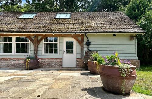 Thetford House | Lynford Holiday Cottages nestled in the heart of Thetford Forest