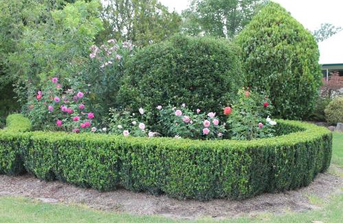 Stanthorpe House | Lynrose Place