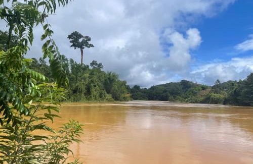 Nam Cat Tien Hotel | Mỏ Vẹt Guesthouse Riverside