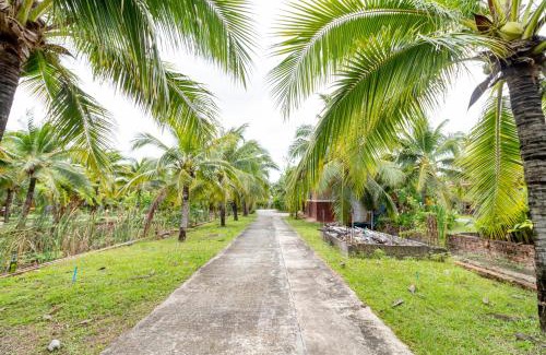 Songkhla House | M Resort