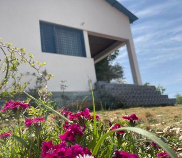 Kanatal House | Maayaa Ridge House