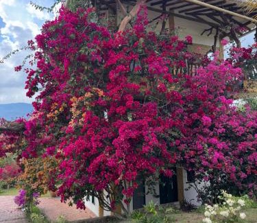 Chipata House | Macúa