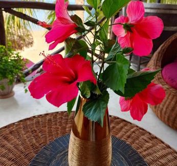 Antafondro Cabin | Madabay's Lodge Nosy Be